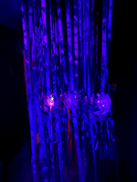 IMG_4524